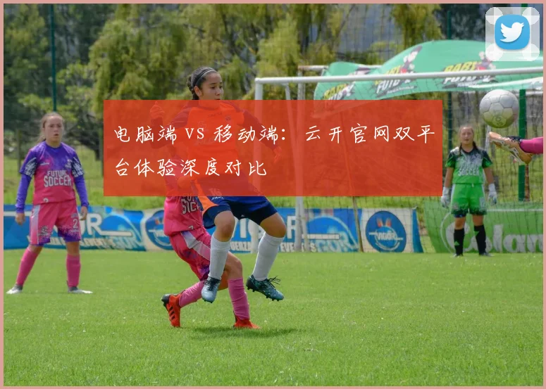 电脑端 vs 移动端：云开官网双平台体验深度对比